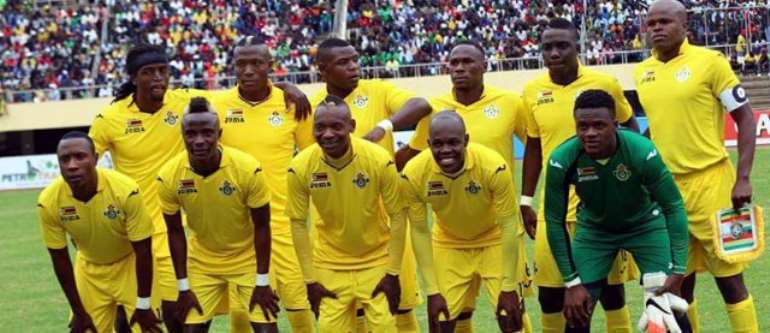 Zimbabwe: Over 600 apply for Warriors coaching job