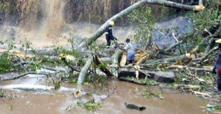 Kintampo Again!! a Rainstorm, a Fallen Tree & a DISASTER