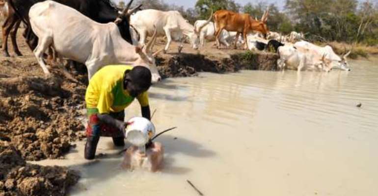 three-communities-compete-with-animals-for-water