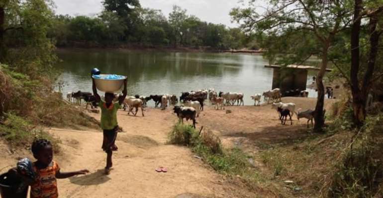 3-communities-compete-with-animals-for-water