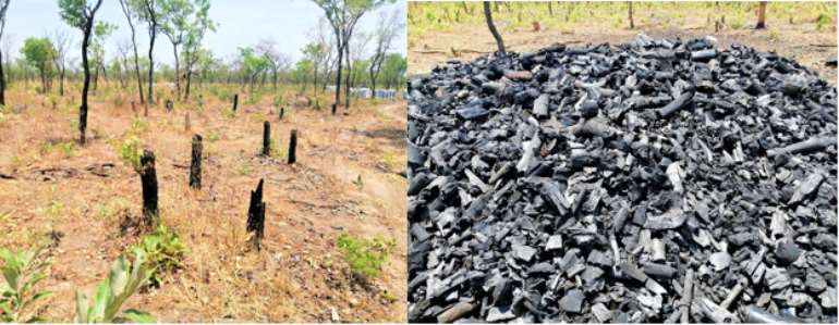 The Continued Deforestation in Northern Ghana: A call for Action from Leadership