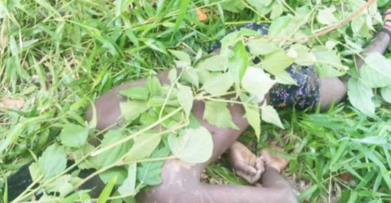 The lifeless body of Timothy covered with weeds