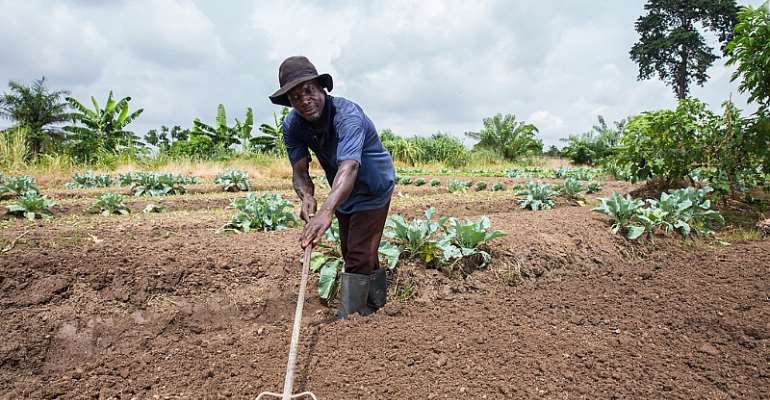 Urban Spread Is Turning The Lives Of Ghanaian Farmers Upside Down