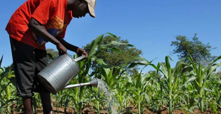 Value Added Agriculture Expo Slated For August