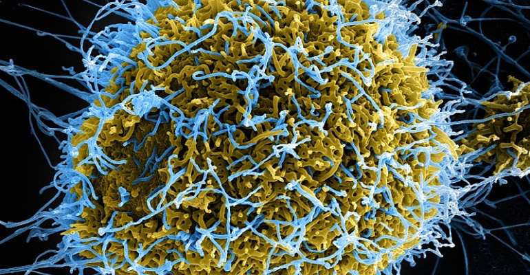 Uganda joins desperate hunt for Ebola vaccine