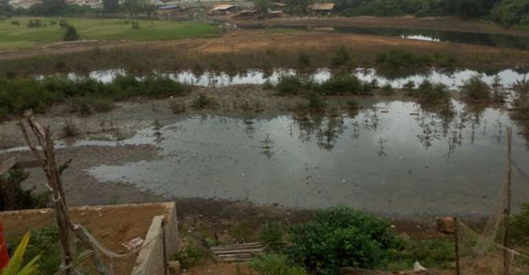 The current state of the lagoon and the mangrove in the community