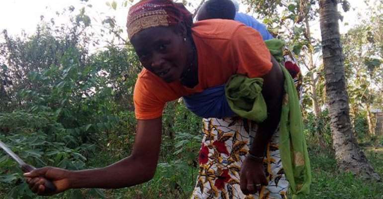 Seekewa Uses Vouchers To Support African Farm Projects