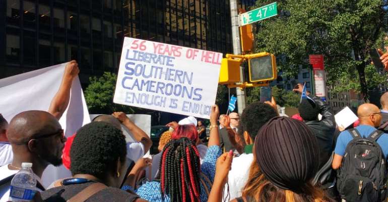 Cameroon's Secessionists by Max Bone