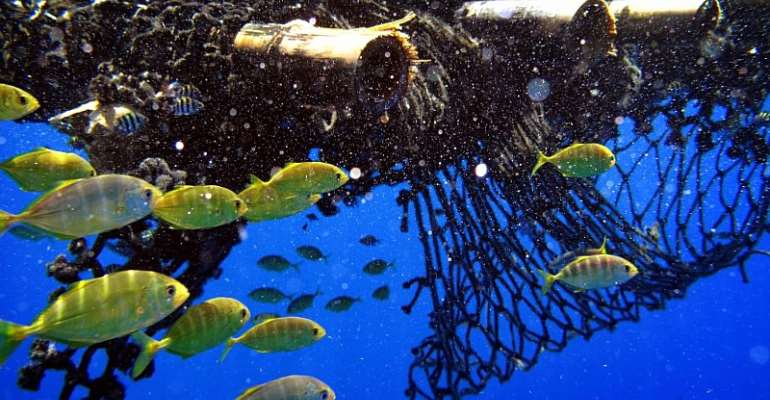(Jiri Rezac/Greenpeace)