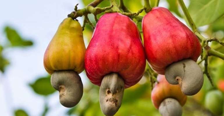 Ghana Gets $2.8bn From Non-Traditional Exports In 2018