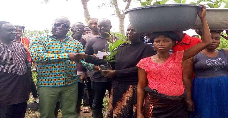 AAMA Hands Over Cashew Seedlings To Department Of Agriculture