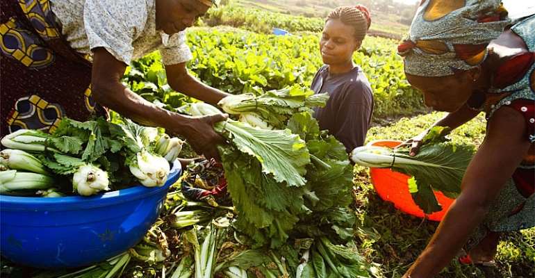 Experts Call For New ‘alliance For Digitalisation’ To Help Revolutionise African Agriculture