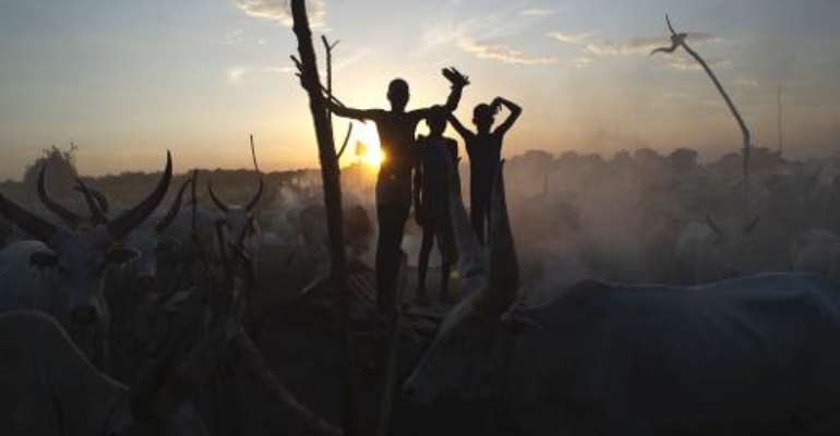 South Sudanese cattle herders stand among their animals in a field in Terekeka, in the Central Equatoria state of South Sudan, on April 13, 2014. By Ali Ngethi (AFP/File)