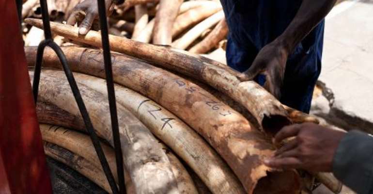 Interpol is seeking the public's help in finding nine suspects, including the alleged leader of an ivory smuggling ring in Kenya. By Ivan Lieman (AFP/File)