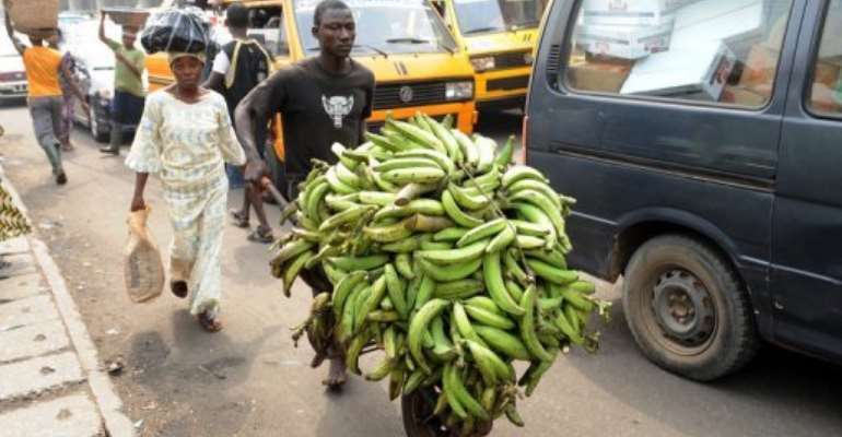 A man transports plantain bananas to a car park in Lagos today as workers suspended a five-day strike. By Pius Utomi Ekpei (AFP)