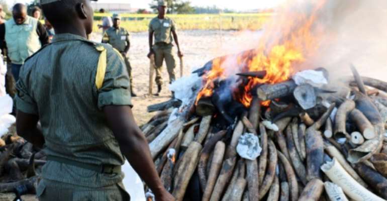 Mozambican authorities stand near a burning pile of ivory and rhino horns in Maputo on July 6, 2015. By Adrien Barbier (AFP)