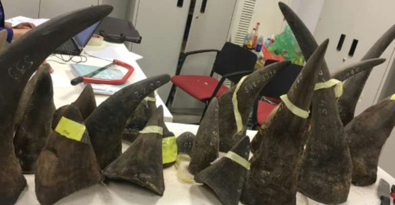 Seized smuggled rhino horns are displayed at a customs office in Hanoi on March 14, 2017. By STR (AFP)