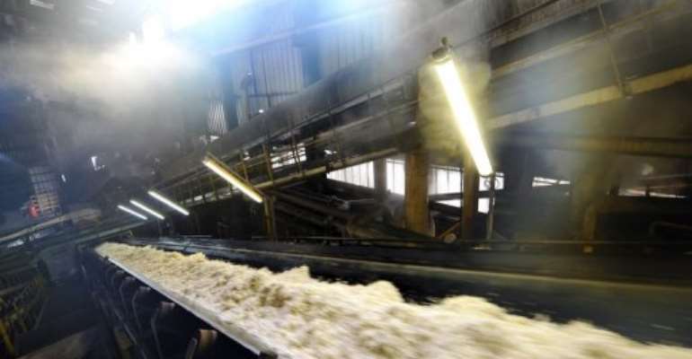 The pulp of sugar beets on a conveyor belt at a refinery in 2011. By Philippe Huguen (AFP/File)