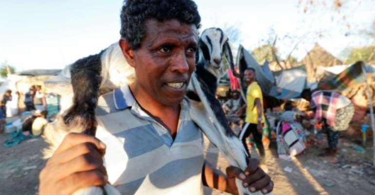 Times are hard for Ethiopian refugees who fled to neigbouring Sudan, but on Wednesday those who could bought a goat or sheep for their Orthodox Christmas celebrations. By ASHRAF SHAZLY (AFP)
