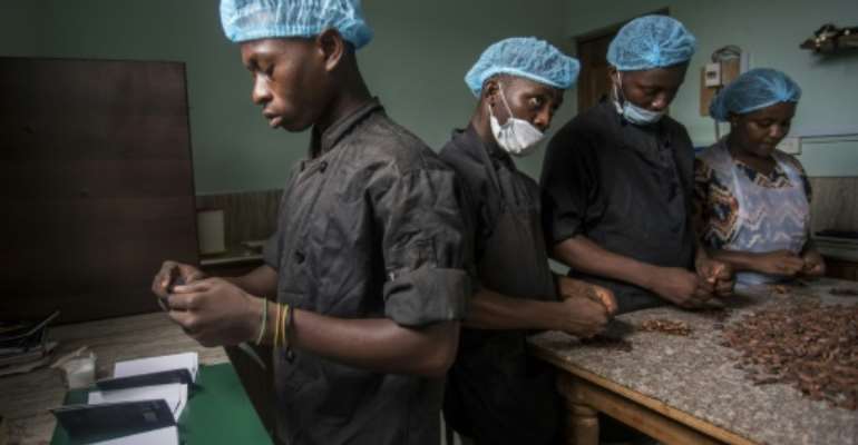 Mars and Hershey's accused of avoiding fair pay for cocoa ...