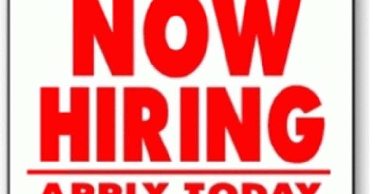 Next job vacancy on You're Hired announced