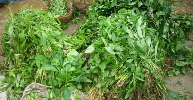 Professor Who Claims Ewedu Cures Ebola To Be Arrested By NAFDAC
