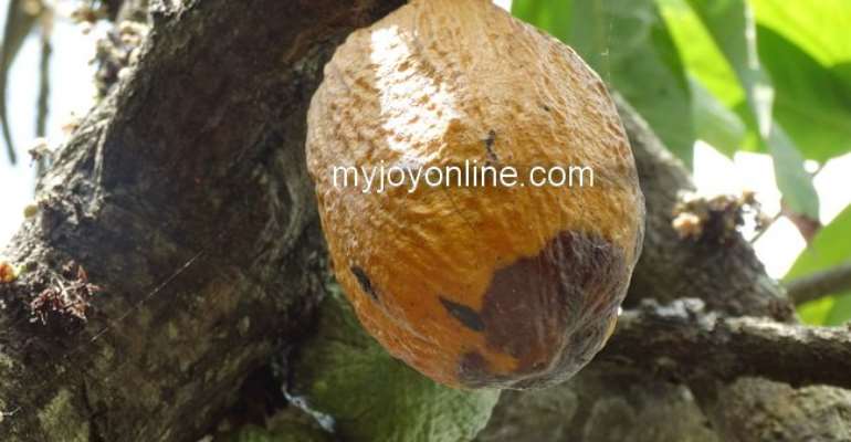 USD300m COCOBOD loan hangs in the balance