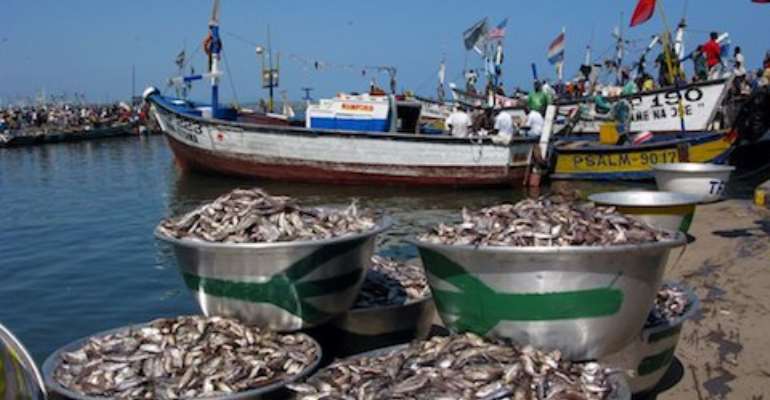 Ghana risks EU ban on fish – Fisheries Commission