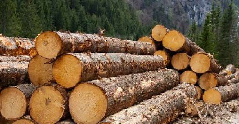 Ghana’s Timber Sector Gears Up For EU, Other Markets