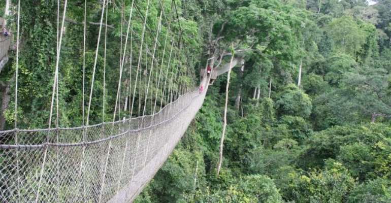Tourism Industry To Lose Over $1 Trillion And Can Reduce Global GDP By Up to 2.8%