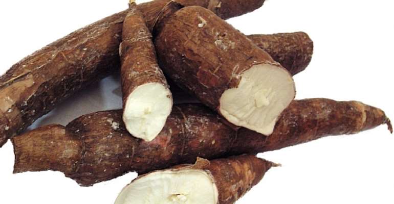 NEXTGEN Cassava Project Sets Precedent For Open Access Data Sharing In Agricultural Research