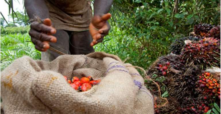 Yara Ghana lends support to oil palm sustainability