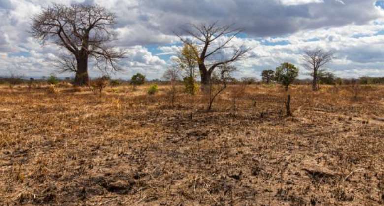 Climate change destroys the livelihoods of Kenyan pastoralists