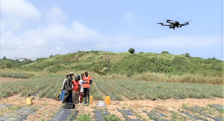 Drone Farming: How precision agriculture is transforming farmers livelihoods in Ghana