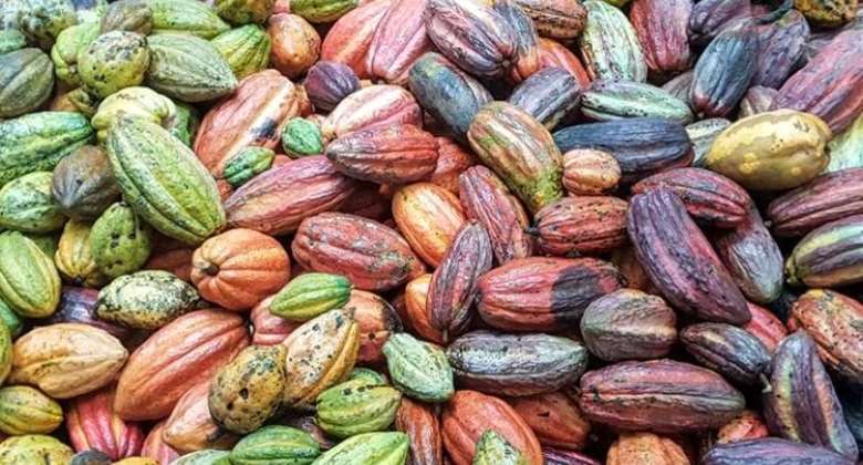 New cocoa price to be announced early next week