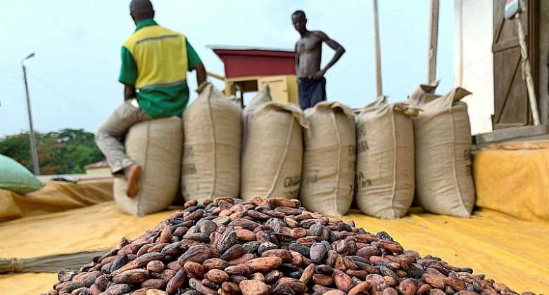 Cocoa price goes up by 21; now GH800 per 64kg bag