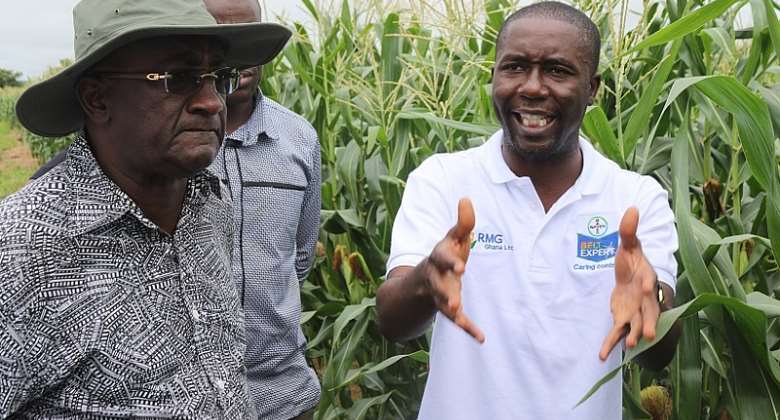 Planting for Food and Jobs initiative is flawed policy – GAWU