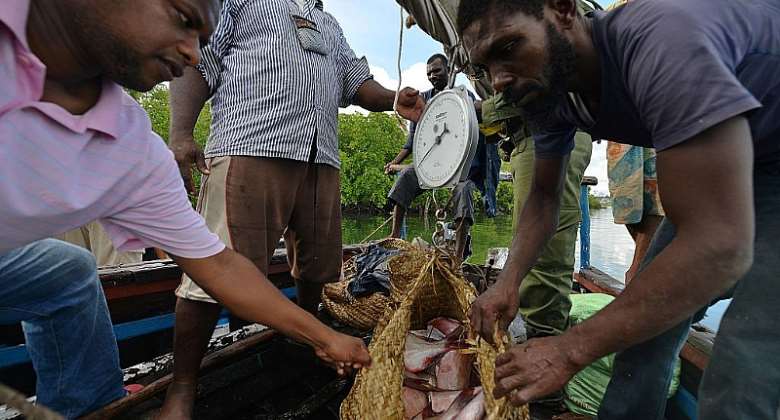 Fishermen weigh a basket full of fish off the Indian oceanamp;39;s archipelago of Lamu on Kenyaamp;39;s coast. - Source: Tony KarumbaAFP via Getty Images