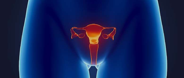 Regular screening is vital for curbing cervical cancer deaths – Dr. Duayeden