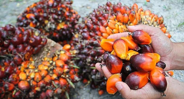 Tocotrienols Contents in Palm Oil is changing the Story