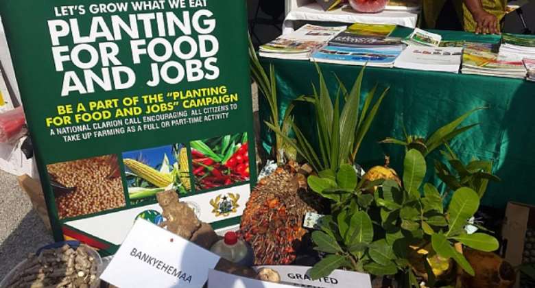 Planting for Food and Jobs will continue to fail if not re-evaluated – Agricultural Workers Union