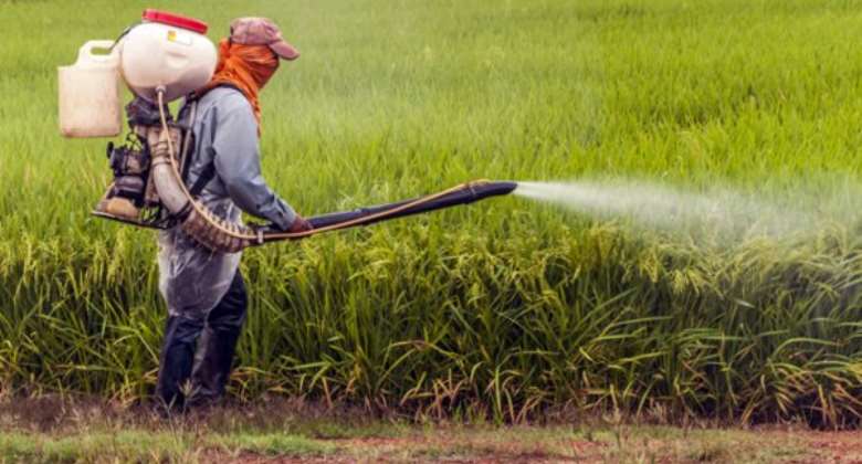 Rising prices of agro-inputs threaten food security - Farmers