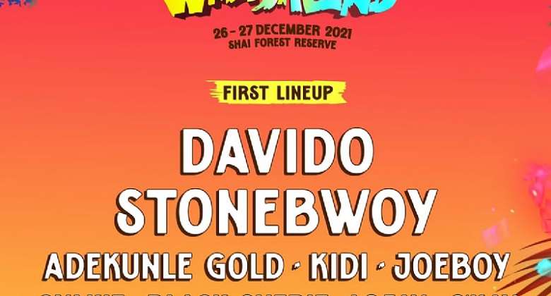 Wildaland: Davido, Stonebwoy, R2Bees and over 20 top acts set to headline Africas Glastonbury