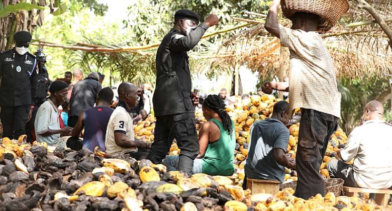 PHOTOS: IGP joins cocoa farmers at Kwaafokrom to celebrate Farmers Day