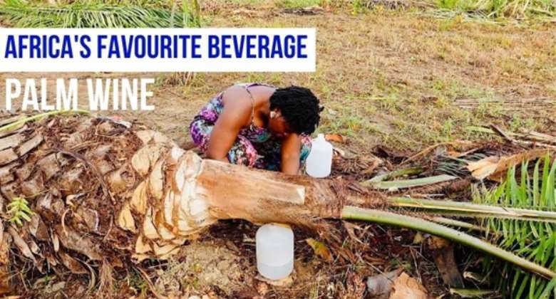 Palm wine lowers blood sugar, and cholesterol, and supports heart health