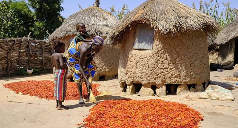 A woman drying red chillies outside her hut in Niger State, north central Nigeria. - Source: Photo by Jorge Fernández/LightRocket via Getty Images