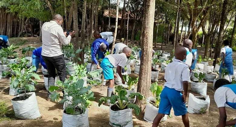 How to Export Crops in Kenya