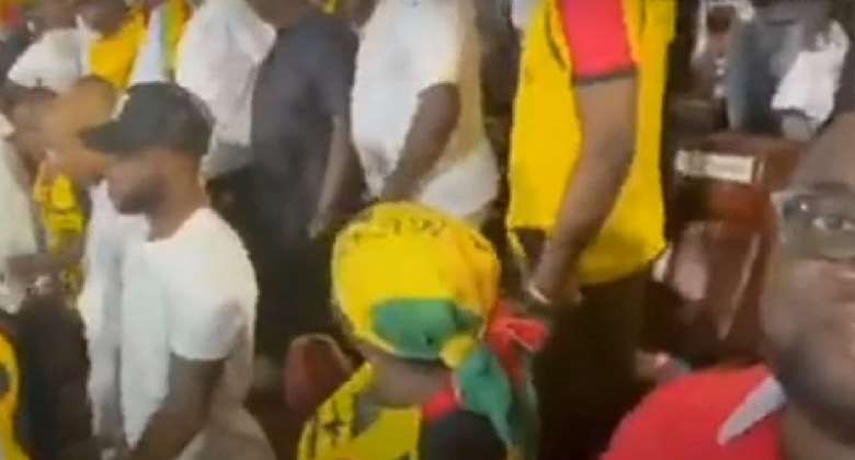 Video: Checkout Dignitaries Who Watched Ghana v Nigeria Game