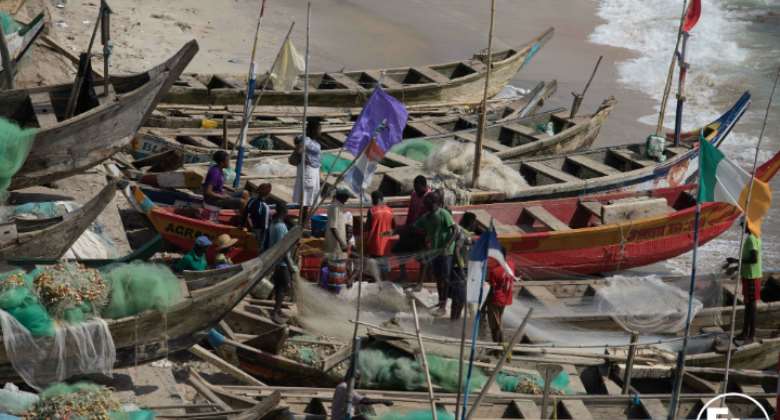 Faeces, condoms found in fishes caught from River Densu – Tetegu fishermen reveals