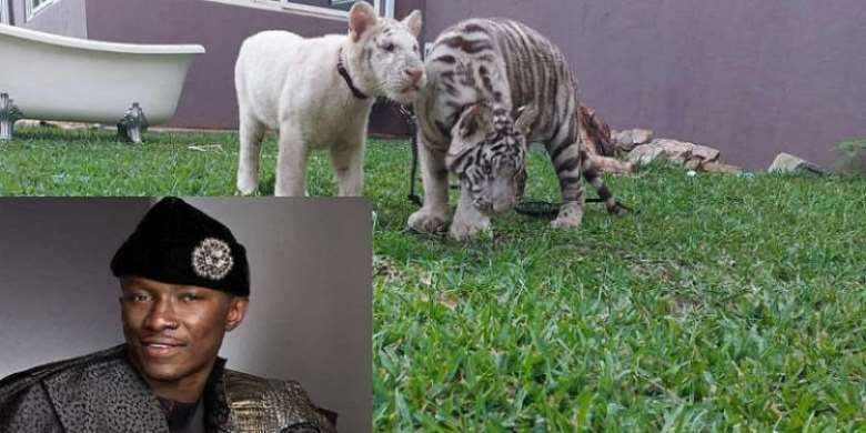 Freedom Caesar should bring more tigers — A Plus